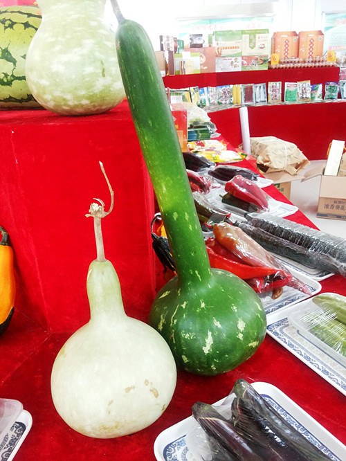 公司參加酒泉地區(qū)優(yōu)質農(nóng)產(chǎn)品展銷會