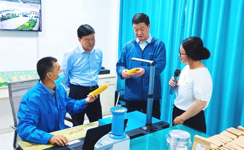 甘肅省地方金融監(jiān)管局、甘肅證監(jiān)局領(lǐng)導(dǎo)蒞臨敦煌種業(yè)調(diào)研指導(dǎo)